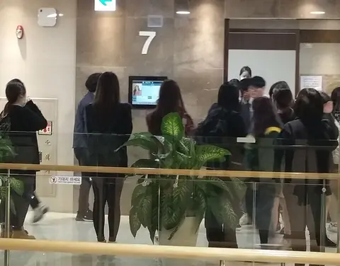 Sulli Oct 16-4 (cropped).jpg