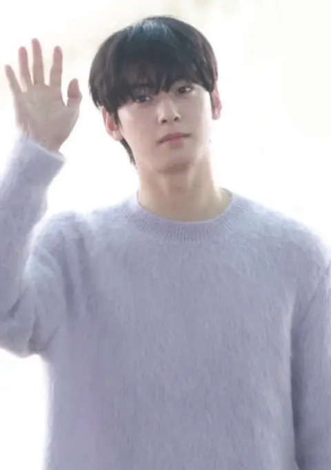 20250310 Cha Eunwoo 차은우 01 (cropped).jpg
