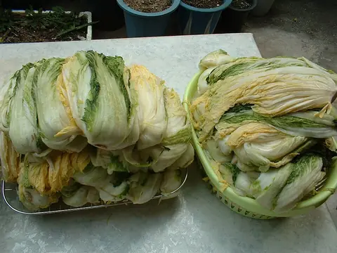 Korean cuisine-Salted baechu-01.jpg