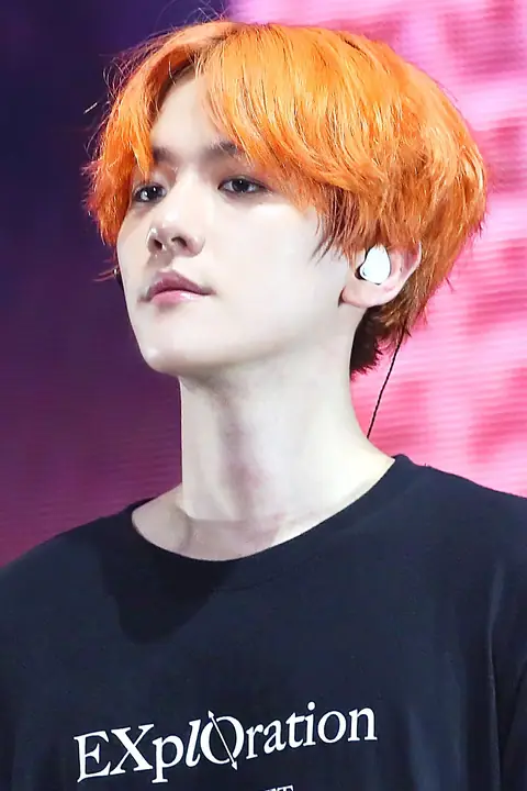 190719 Exo Planet 5 – Exploration 백현 1-1 (cropped).jpg