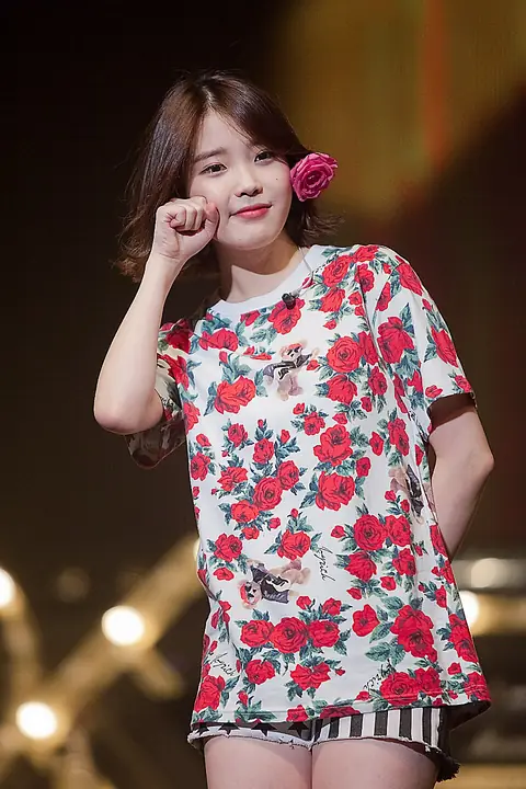 IU at Modern Times concert in Busan, on December 1, 2013 (2).jpg