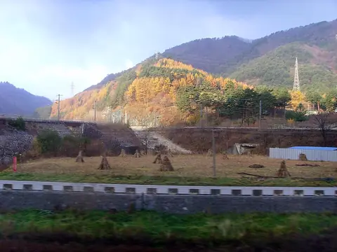 A view from a passing train captures a rural autumn landscape in Taebaek, featuring a railway bridge, power lines, and forested hills with patches of golden-yellow trees.