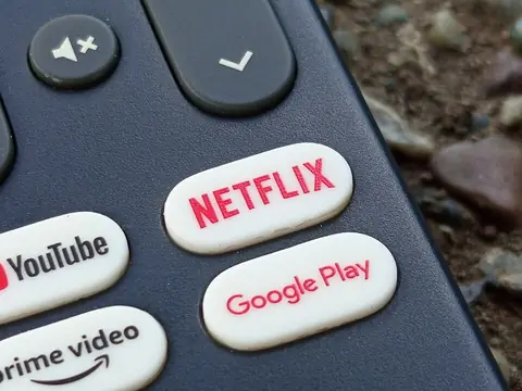 Google ATV Reference RCU G10 - Netflix button.jpg