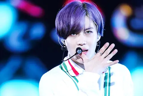 Taemin at Dream Concert 2015 06.jpg