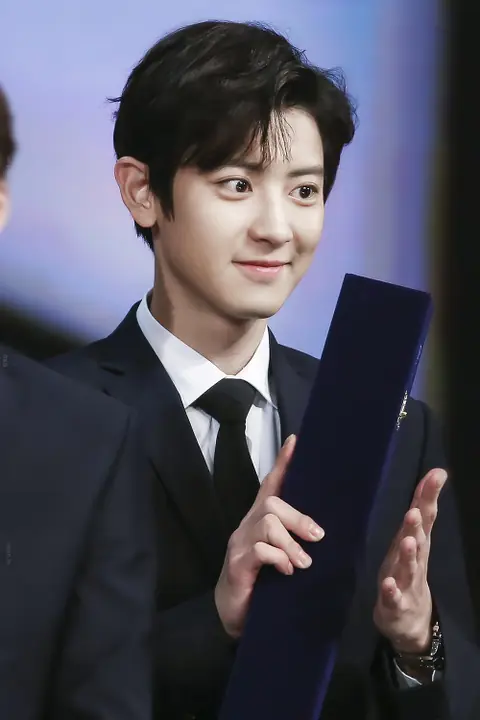Park Chan-yeol at Pop Culture Art Award on November 3, 2017.jpg