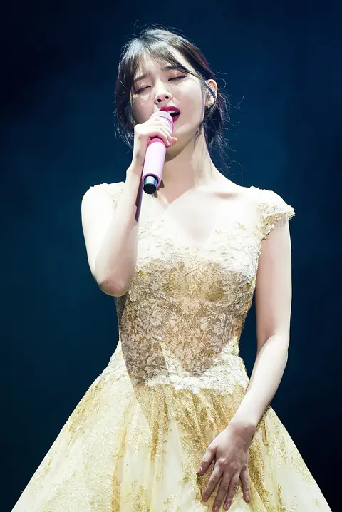 IU Seoul Concert, 10 December 2017 04.jpg