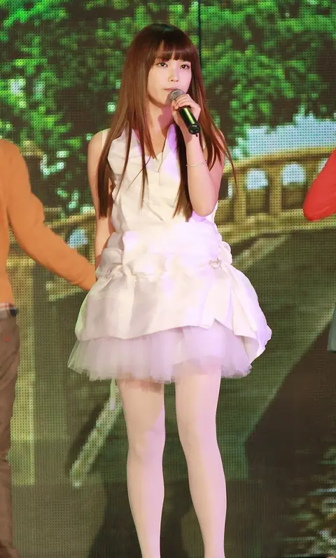 IU at SBS Gayo Daejun 2010 04.JPG